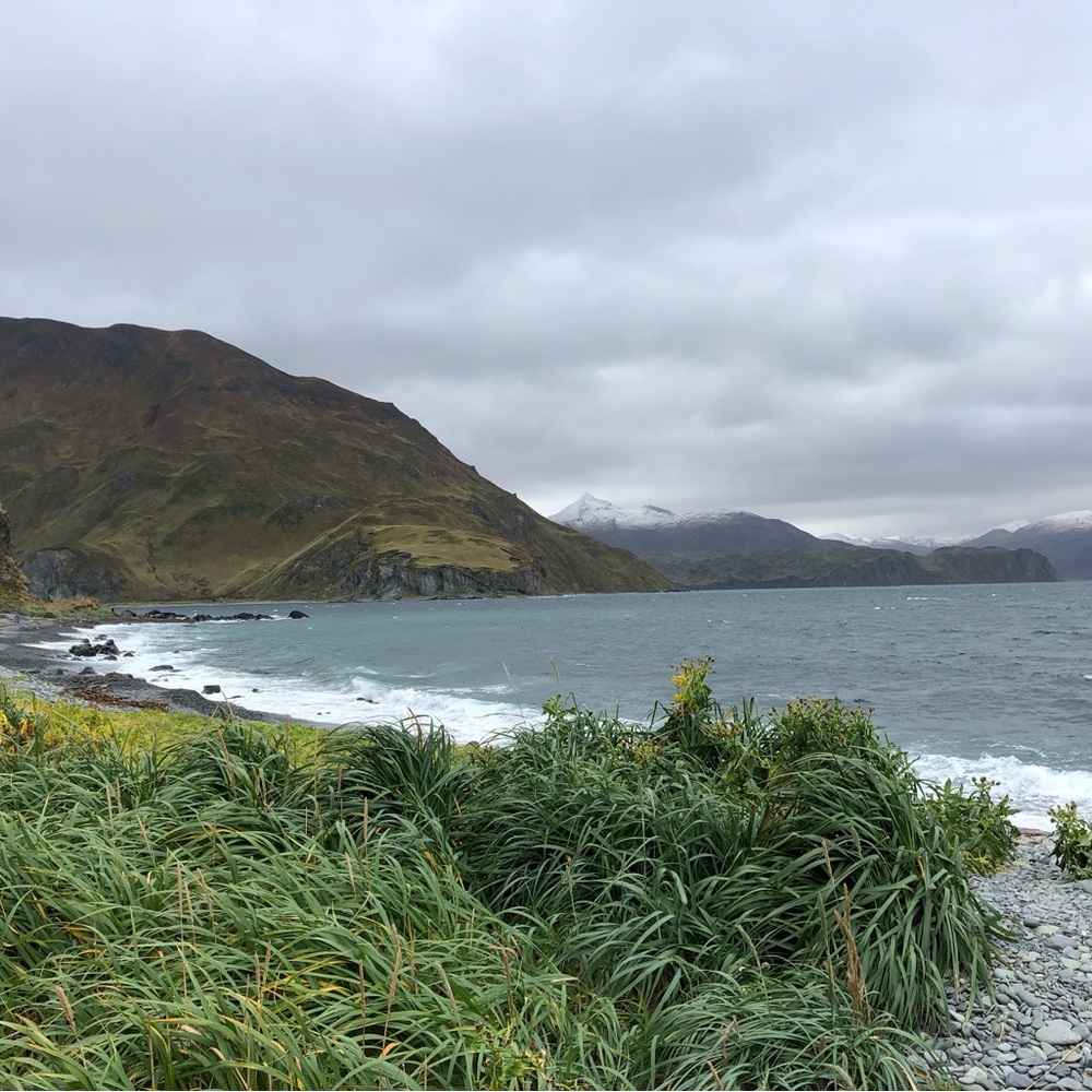 Meet your Posher, Lucy